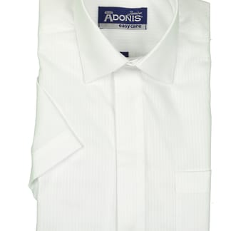 ADONIS Boys Classic Fit Short Sleeve Non Iron London Stripe White Dress Shirt